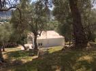 Продано : Срочная продажа нового дома в Старом Баре с большим участком с оливками