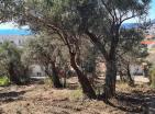 Земельный участок в Баре площадью 620 м2 с панорамным видом на море и оливковыми деревьями