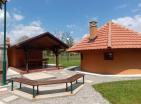 Большое зеленое поместье с 3 зданиями в Даниловраде