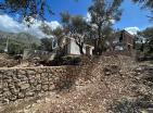 Продается дом в Баре с бассейном в каскадной оливковой роще