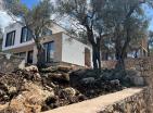 Продается дом в Баре с бассейном в каскадной оливковой роще