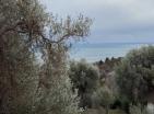 Роскошный современный дом площадью 225 м2 в Баре с панорамным видом на море и бассейн